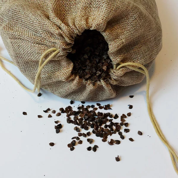 Bio Buchweizenschalen 750 g – Ökologische Verpackung mit sichtbaren Schalen in natürlicher umweltfreundlicher Umgebung.